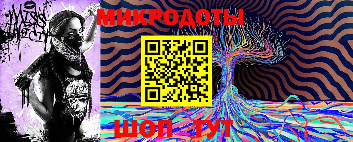 Галлюциногенные грибы Psilocybe Электросталь