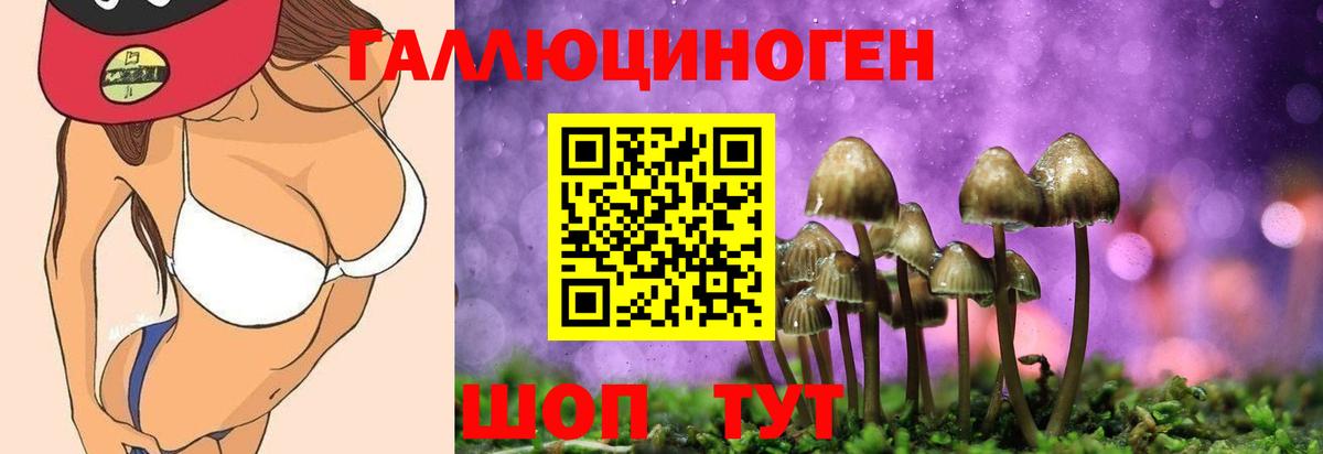 Электросталь  Псилоцибиновые грибы мухоморы  Псилоцибиновые грибы Psilocybe  Вход с VPN 